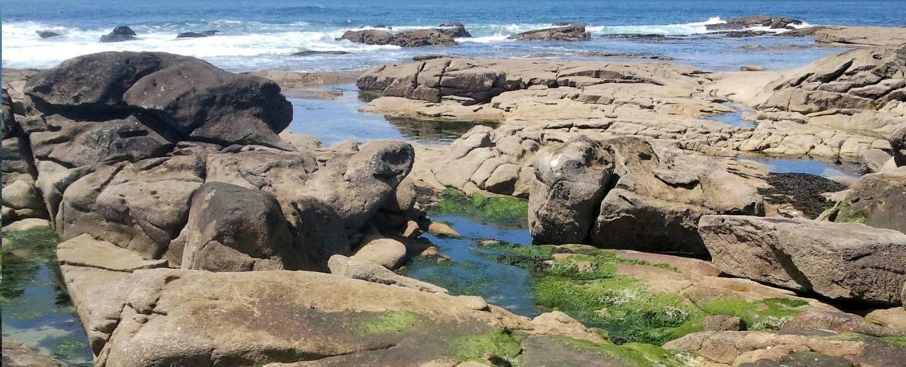 Varandas Da Sandia Vila Praia de Âncora Εξωτερικό φωτογραφία